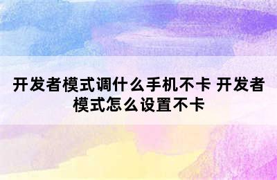 开发者模式调什么手机不卡 开发者模式怎么设置不卡